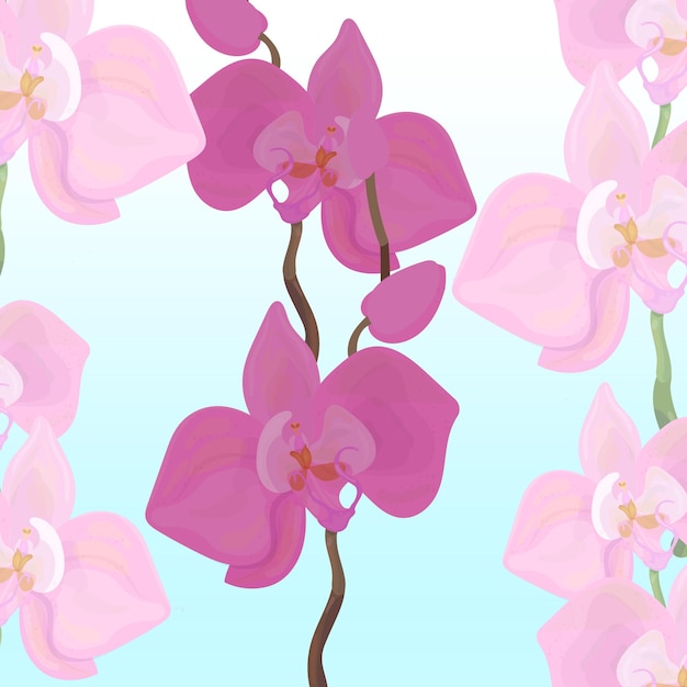 orquídeas sobre un fondo azul claro