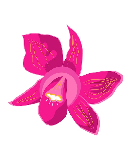 Orquídeas