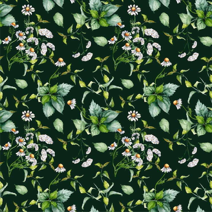 Vector ortiga achillea millefolium camomila acuarela patrón sin costura aislado en fondo oscuro urtica dioica yarrow plantas herbales útiles dibujado a mano diseño para paquete textil papel de pared