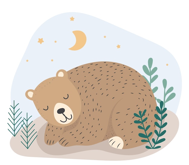 Oso durmiendo en vector de fondo blanco