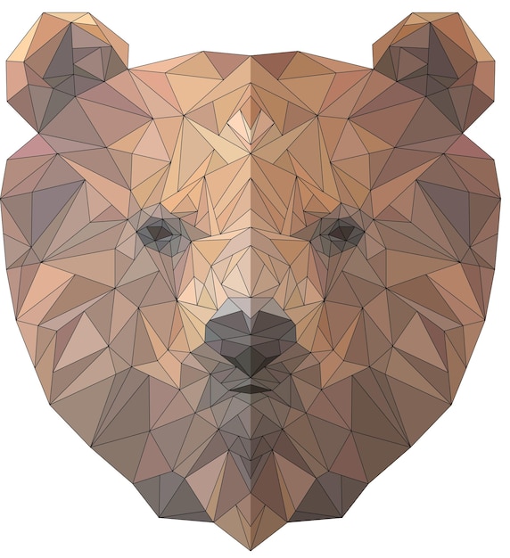 Oso geométrico