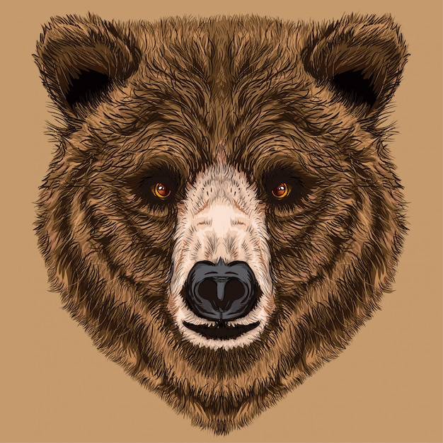 Vector oso lindo teddy face ilustración
