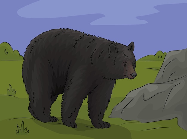 El oso negro americano