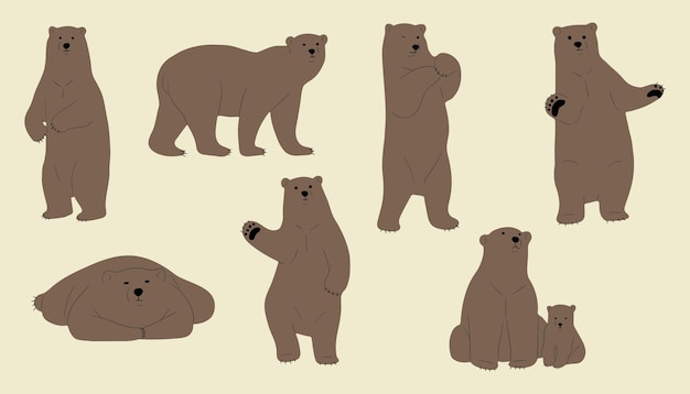 El oso pardo es lindo.
