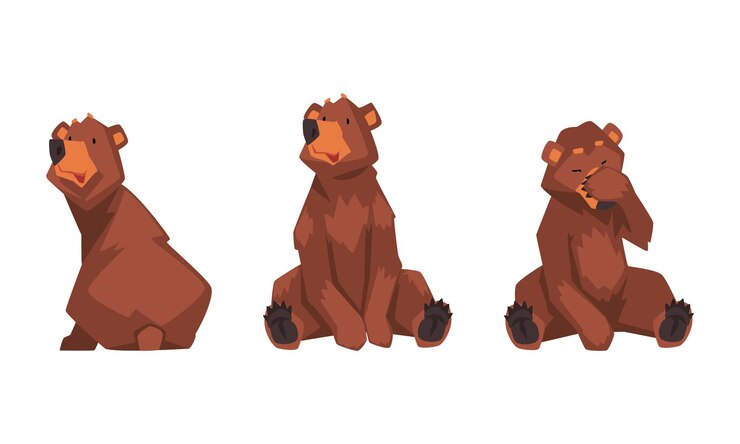 Vector el oso pardo gris salvaje como habitante del bosque en el conjunto de vectores de postura sentada