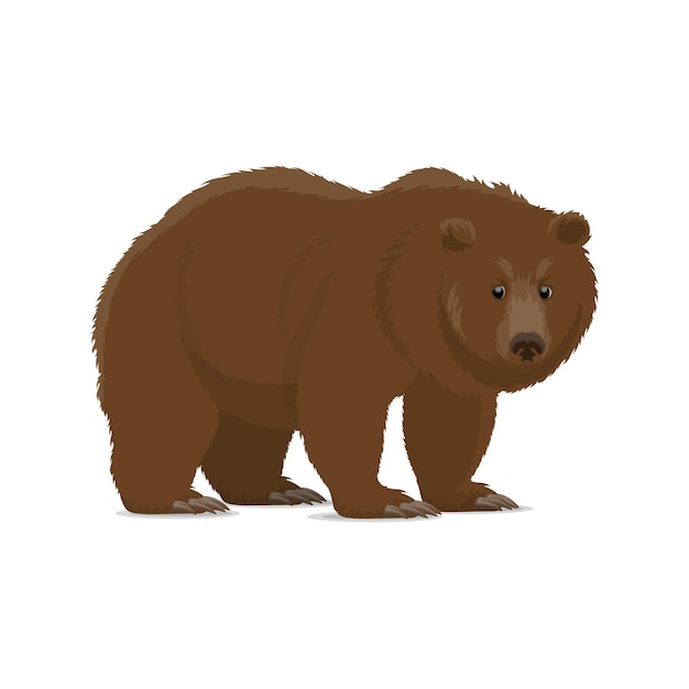 Oso pardo o icono animal grizzly de depredador salvaje