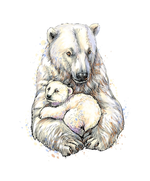 Oso polar con cachorro de un toque de acuarela, boceto dibujado a mano. ilustración de pinturas