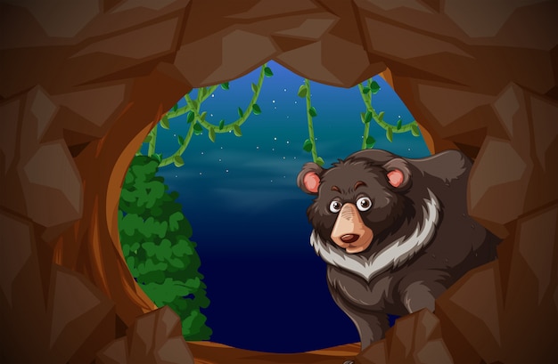 Vector un oso que vive en la cueva