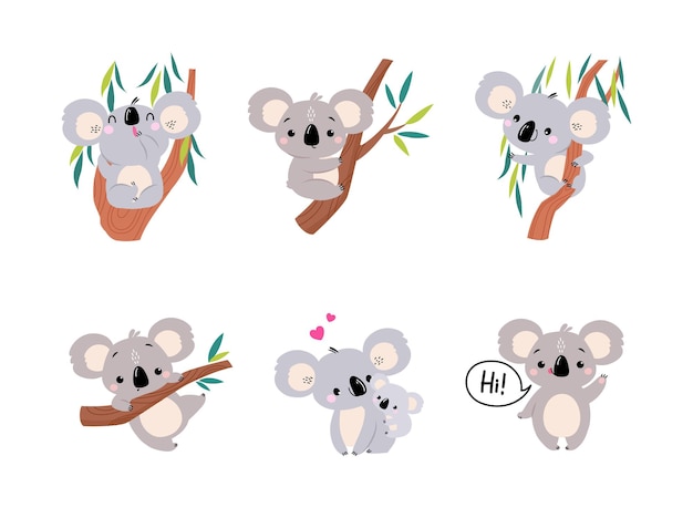 Osos Koala como animal australiano en una rama de eucalipto y con un conjunto de vectores de bebés