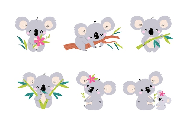 Osos Koala como animal australiano en una rama de eucalipto y con un conjunto de vectores de bebés