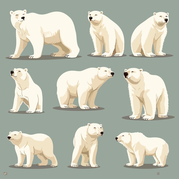 Vector osos polares en varias poses conjunto de animales planos