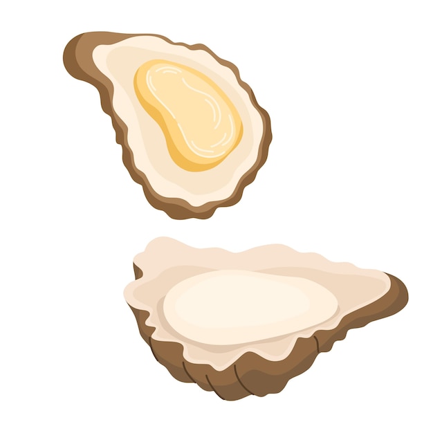 Ostras frescas en conchas Mariscos abiertos Mariscos gourmet Mariscos crudos deliciosos