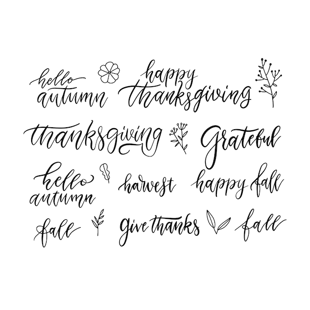 Vector otoño y acción de gracias escritos a mano con letras de pincel y garabatos conjunto de iconos florales