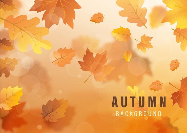 Otoño brillante fondo vector ilustración vector arte creativo