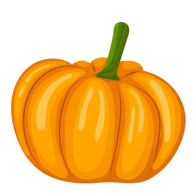 Otoño de calabaza en vector aislado de estilo plano