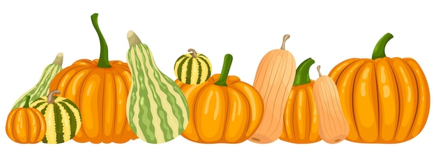 Otoño de calabazas en vector aislado de estilo plano