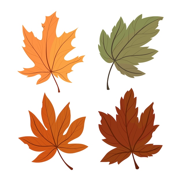 Otoño Conjunto de arce de hojas coloridas. ilustración.