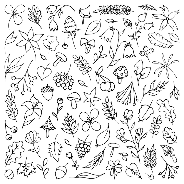Otoño conjunto de hojas bayas nueces setas y flores Vector