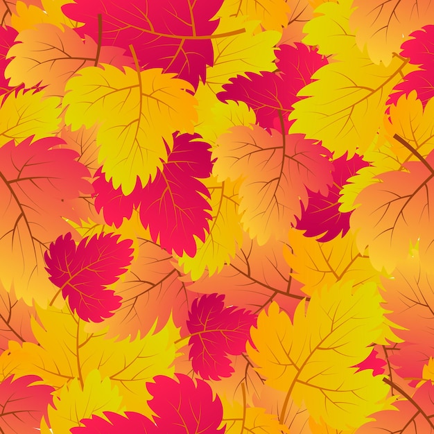 Otoño de fondo transparente con hojas de arce de colores. Diseño de carteles de la temporada de otoño, papeles de regalo y decoraciones navideñas. Ilustración vectorial