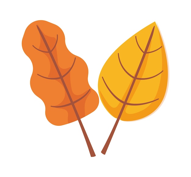 Otoño hoja objeto clipart abedul y roble icono