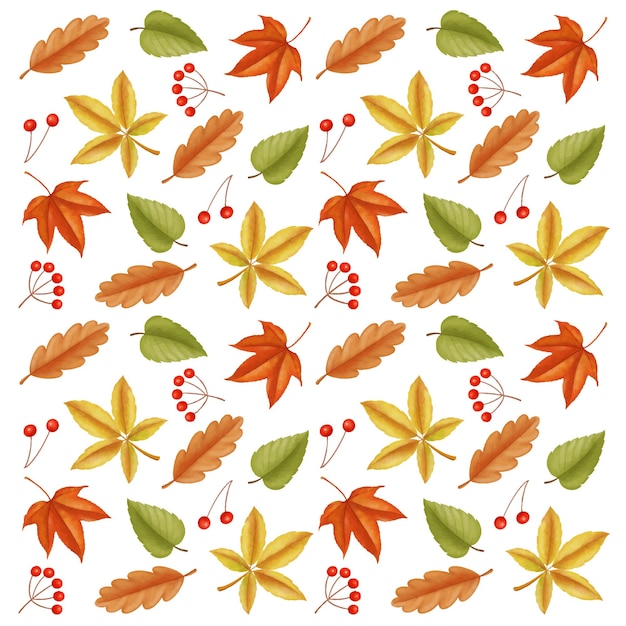 Vector otoño hoja de otoño dibujo fondo blanco.