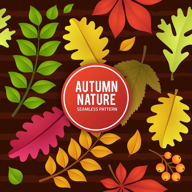 Vector otoño, naturaleza, hojas, seamless, patrón