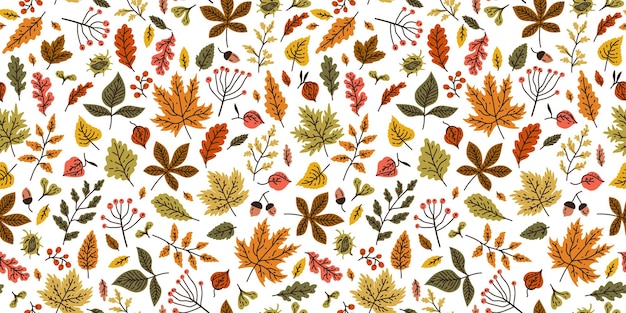 Otoño de patrones sin fisuras con diferentes hojas y plantas de colores estacionales