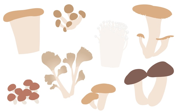 Otoño sabor simple ilustración de hongos matsutake maitake shiitake y otro conjunto