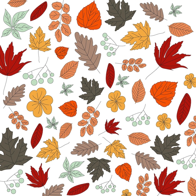 Otoño varias hojas aisladas patrón en azul naranja marrón amarillo rojo colores en contorno para el patrón