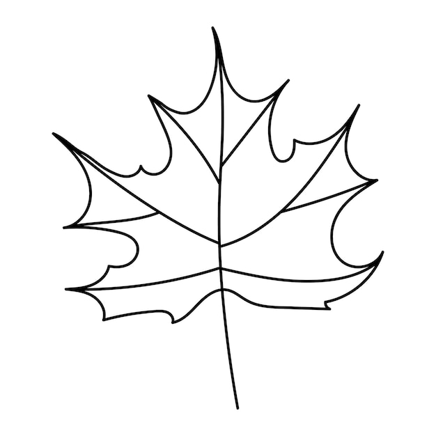 Outline of a Maple Leaf for Autumnal or Seasonal Design