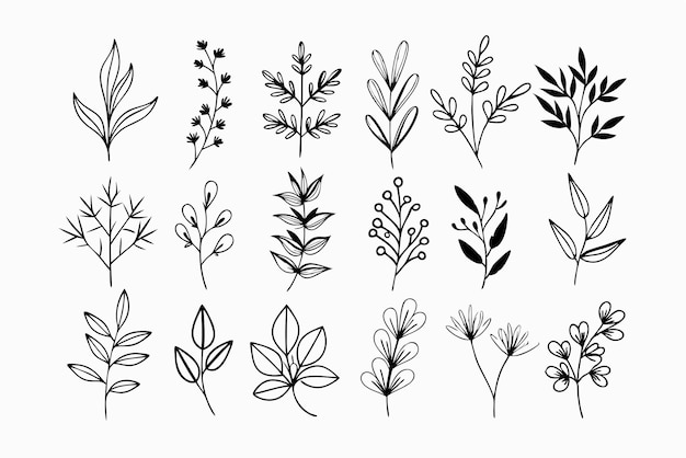 P dibujar a mano flores silvestres rama floral y hojas minimalistas para logotipos o tatuajes flor dibujada a mano