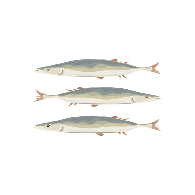 Vector pacific saury kongchi sanma saira fish vector ilustración logo