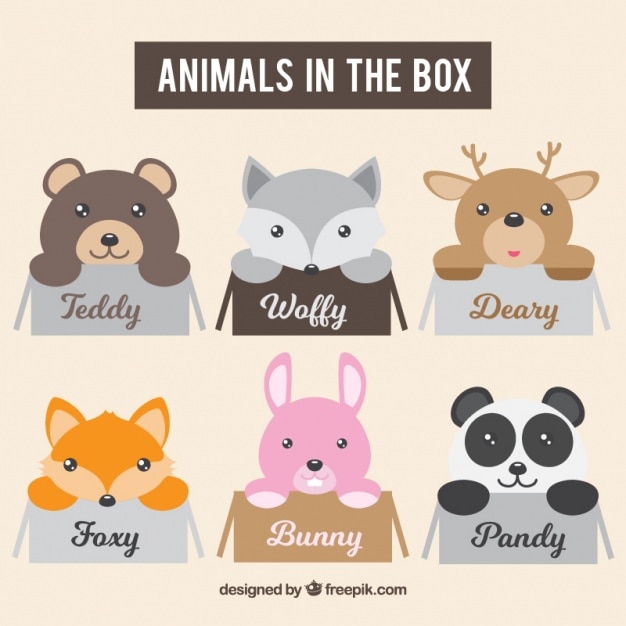 Vector pack de animales adorables en la caja