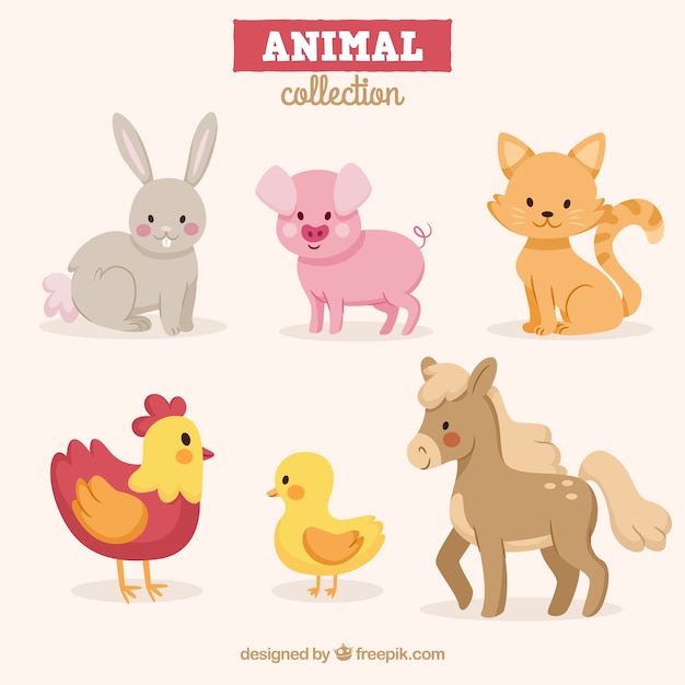 Pack de animales divertidos con diseño plano