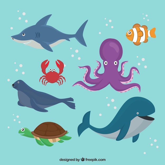 Pack de animales marinos nadando