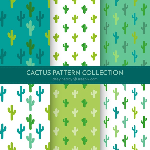 Pack básico de patrones de cactus