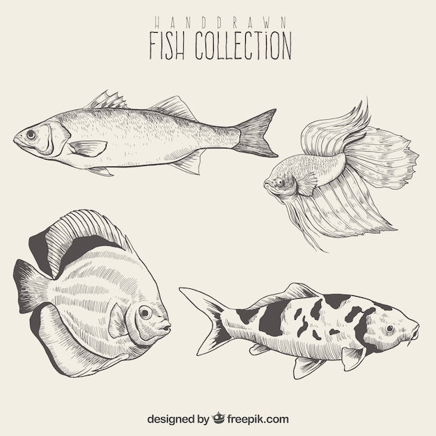 Vector pack de bosquejos de peces