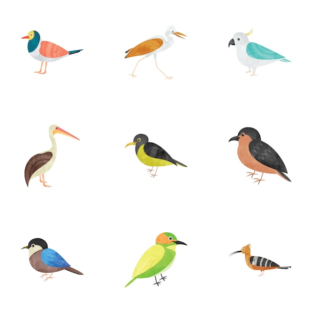 Pack de iconos planos de criaturas de aves