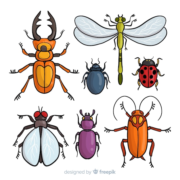 Vector pack insectos coloridos dibujados a mano