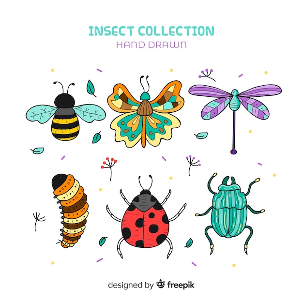 Vector pack insectos dibujos animados