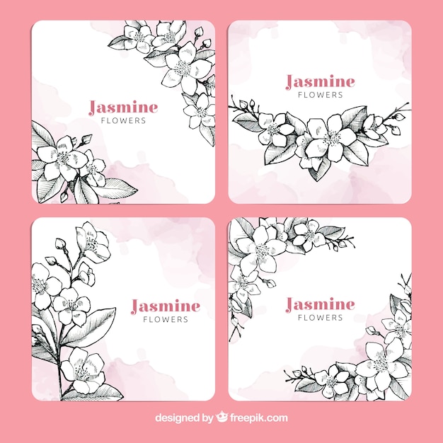 Pack moderno de tarjetas de jazmín a mano