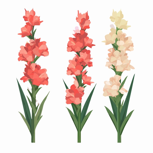 Pack de pegatinas artísticas de flores de gladiolo para realzar tus creaciones con encanto floral