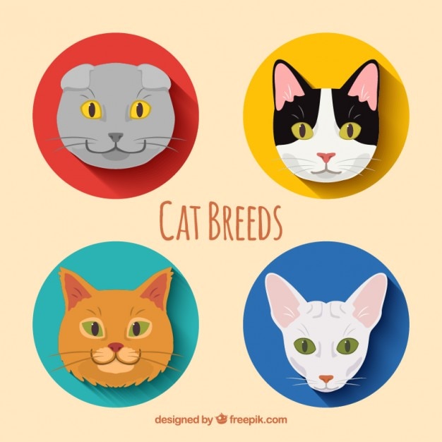 Vector pack de razas de gatos