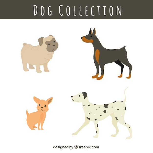 Vector pack de razas de perros