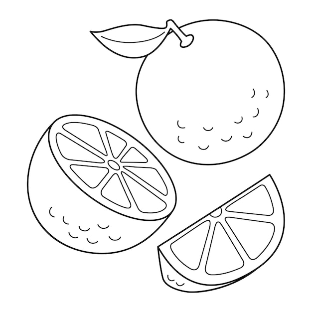 Página para colorear aislada de frutas naranjas para niños