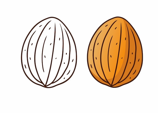 Una página para colorear de almendras divertida para niños presenta un lindo personaje de almendra con una cara sonriente