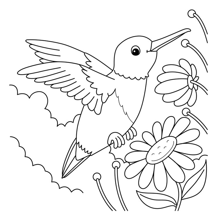 Vector página para colorear de animales colibrí para niños