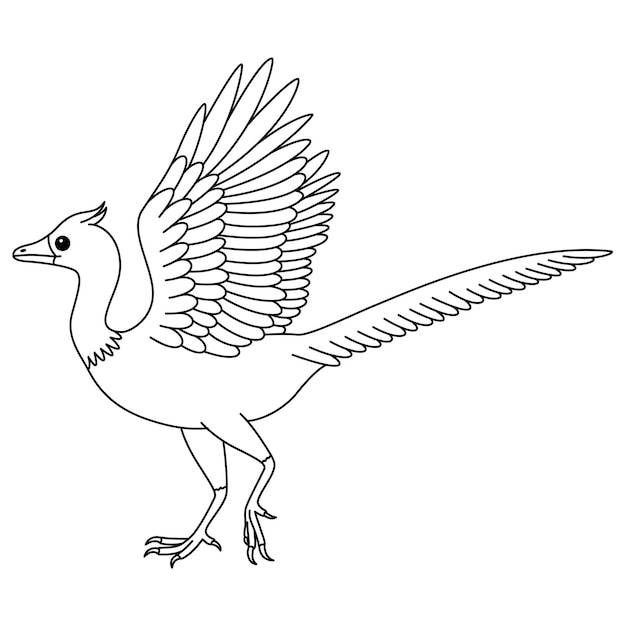 Vector página de colorear archaeopteryx dinosaurio plano y lindo aislado sobre un fondo blanco