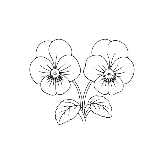 Página de colorear de arte vectorial de la línea de flores de Pansy
