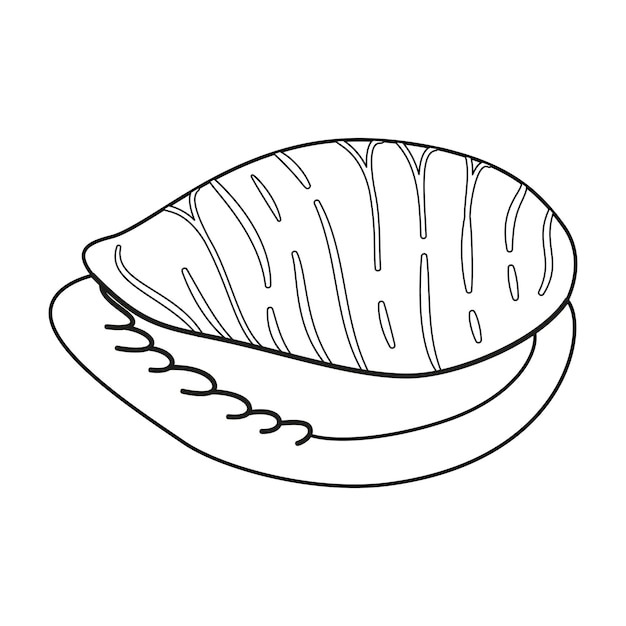 Página de colorear de arteterapia de conchas marinas en blanco y negro